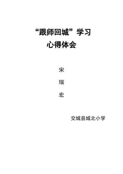 “跟师回城”学习心得体会
