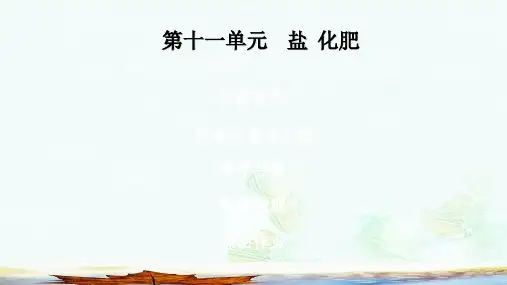 九年级化学下册第十一单元盐化肥实验活动8粗盐中难溶性杂质的去除课堂导学+课后作业课件新版新人教版ppt版