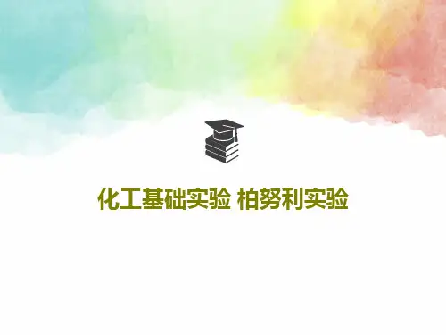 化工基础实验 柏努利实验共17页文档