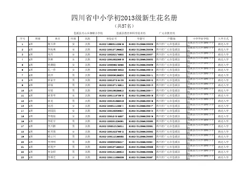 四川省中小学新生花名册17