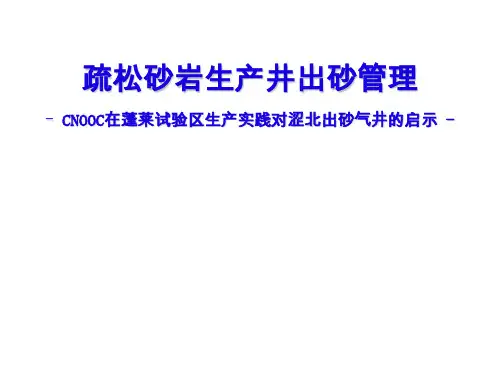 疏松砂岩生产井出砂管理