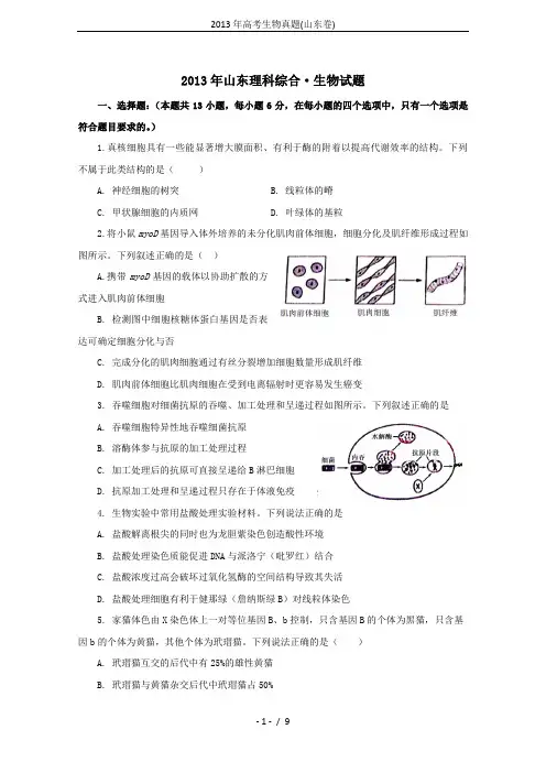 2013年高考生物真题(山东卷)