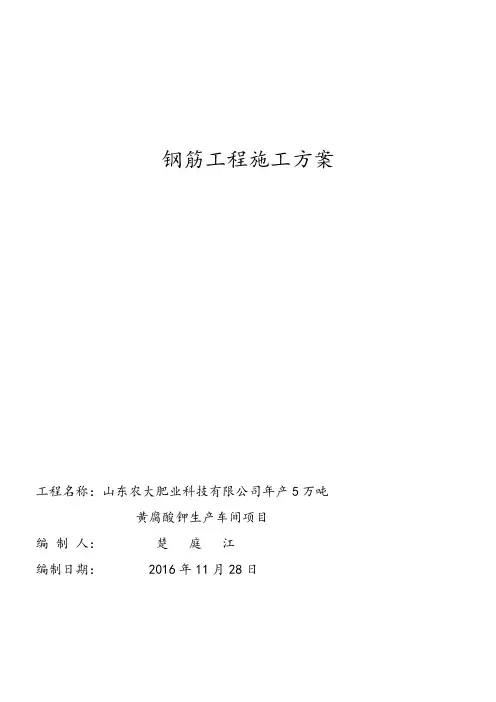 钢筋工程专项方案