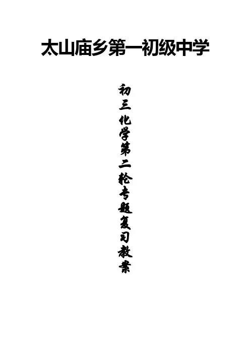 初三化学第二轮复习教案