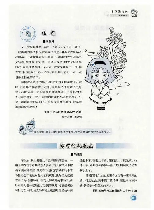 美丽的凤凰山