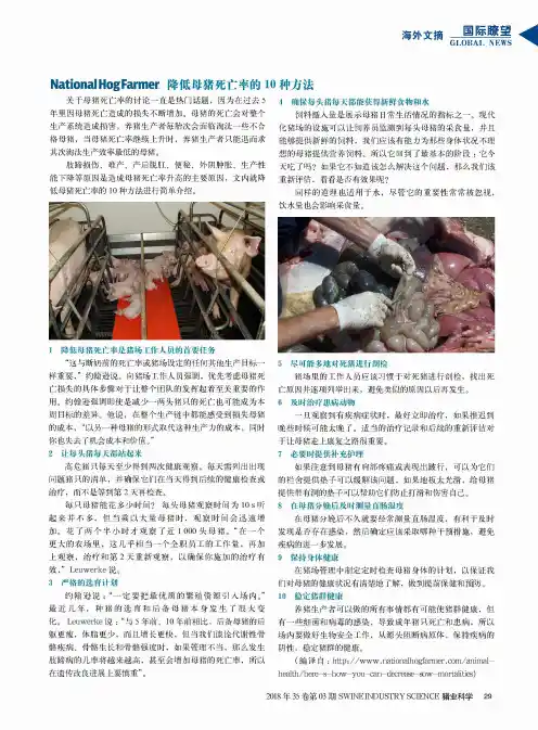 降低母猪死亡率的10种方法
