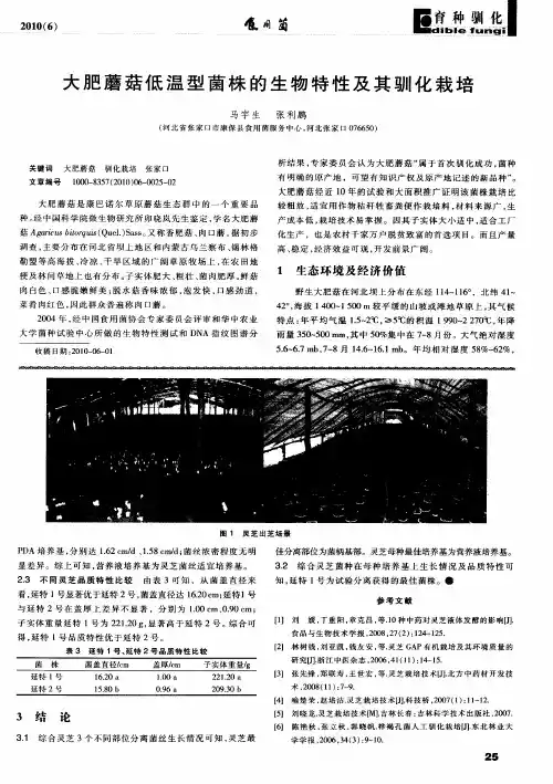 大肥蘑菇低温型菌株的生物特性及其驯化栽培