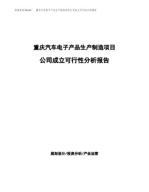 重庆汽车电子产品生产制造项目公司成立可行性分析报告