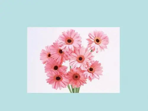 20 花的勇气.