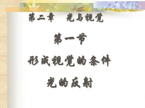 科学:2.1《形成视觉的条件—光的反射》课件(华师大版八下)