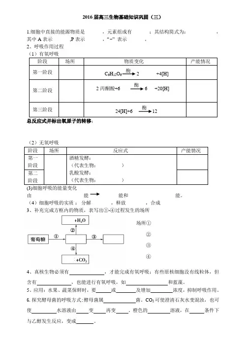 2016高三细胞呼吸作用复习基础知识填空(小测)