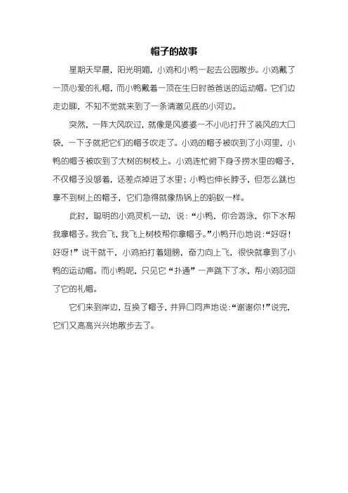 三年级作文：帽子的故事作文400字_1