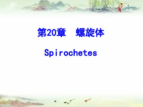 20 螺旋体——【医学微生物学精品讲义】