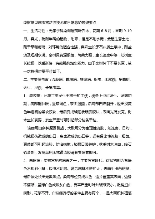 栾树常见病虫害防治技术和日常养护管理要点