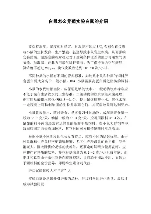 白鼠怎么养殖实验白鼠的介绍