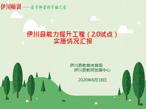 河南伊川能力提升工程(2.0试点)情况汇报-段武亭