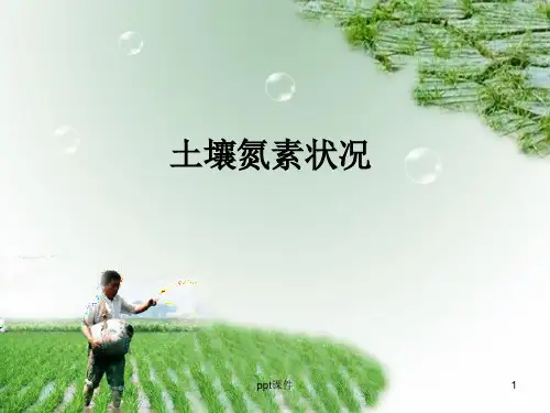 有机态氮的矿化作用  ppt课件