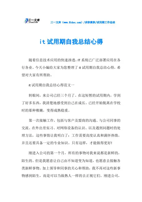 试用期工作总结it试用期自我总结心得