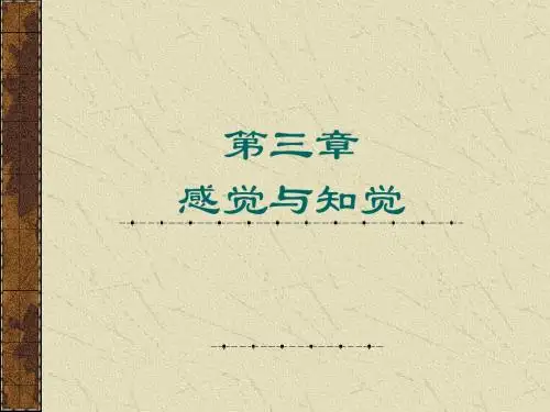 第三章感觉与知觉