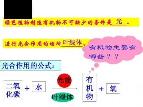 绿色植物对有机物的利用 PPT课件7 人教版