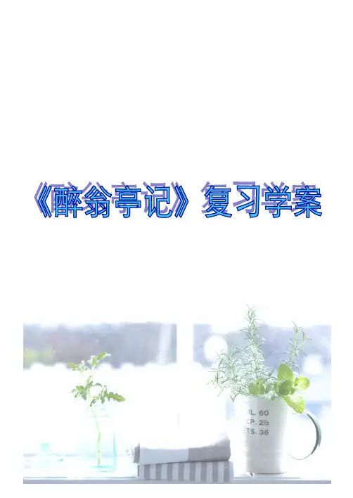 《醉翁亭记》复习学案
