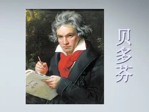 高三音乐 西洋乐器课件