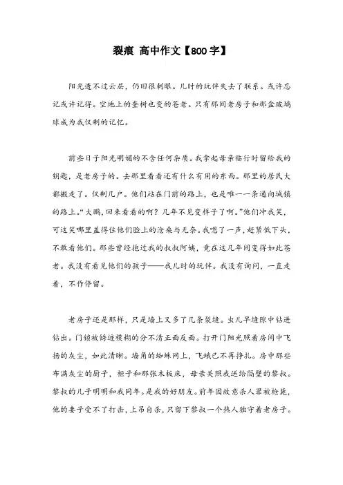裂痕 高中作文【800字】