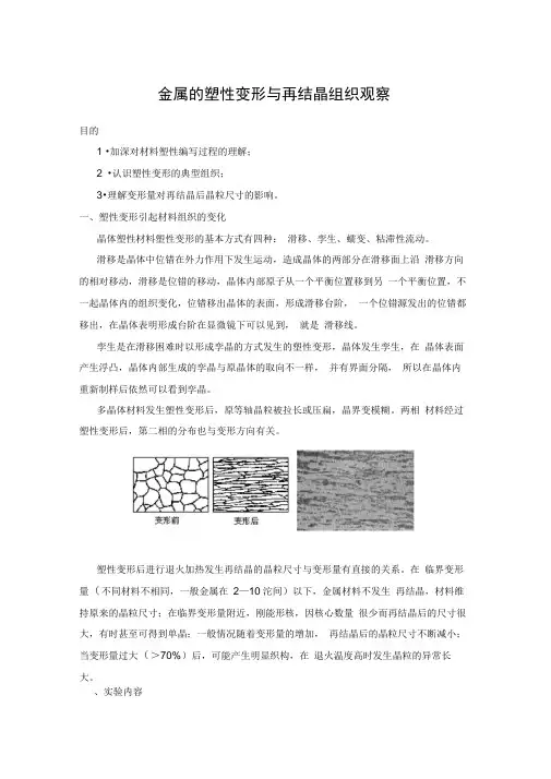 金属的塑性变形与再结晶组织观察