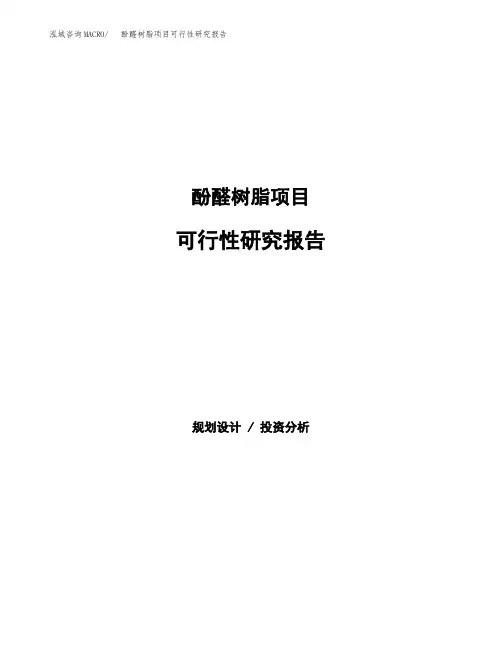 酚醛树脂项目可行性研究报告发改委立项模板 (1)