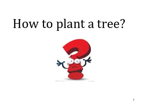 How to plant a treeppt课件