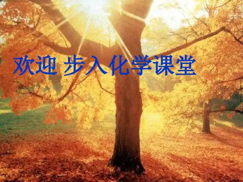 人教化学必修1第三章第1节 金属的化学性质 第二课时金属与水的反应(共15张PPT)