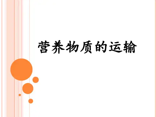 营养物质的运输——心脏