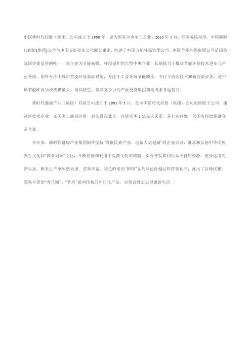 中国新时代控股(集团)公司