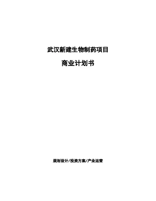武汉新建生物制药项目商业计划书