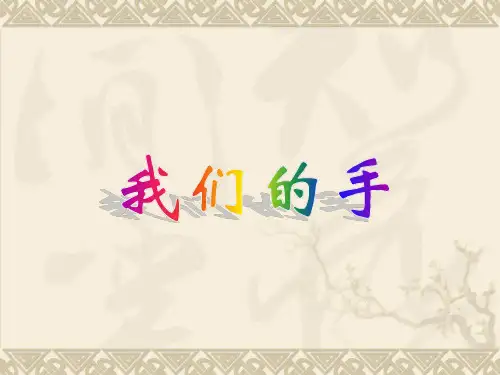 《我们的手》ppt课件
