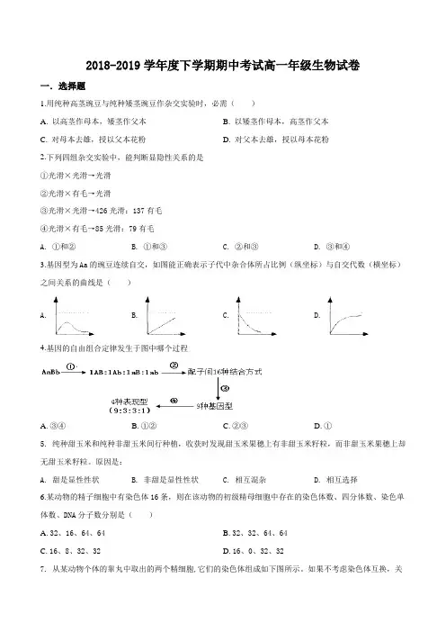 辽宁省沈阳市东北育才学校2018-2019学年高一下学期期中考试生物试题(原卷版)