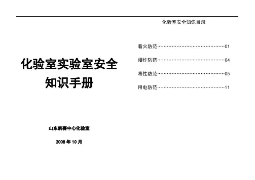 化学实验室安全知识手册(08-10)