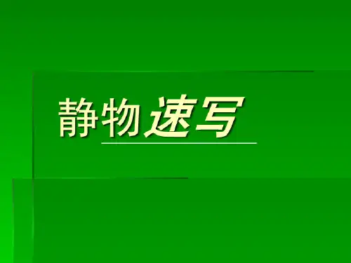 速写静物(课堂PPT)