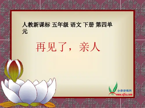 人教新课标五年级语文下册《再见了,亲人 3》PPT课件