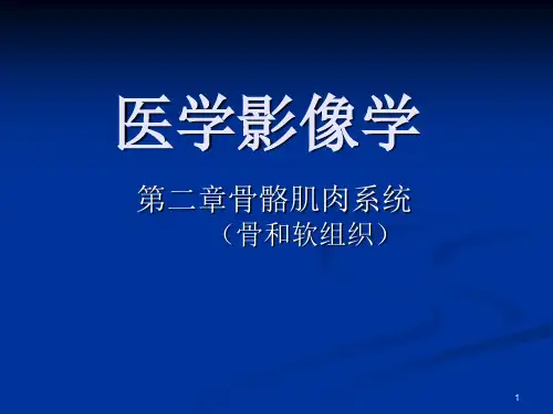 骨关节医学影像学.ppt