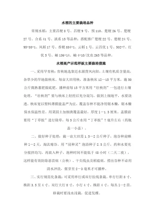 水稻的主要栽培品种