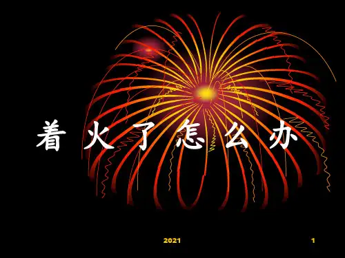 着火了怎么办PPT课件
