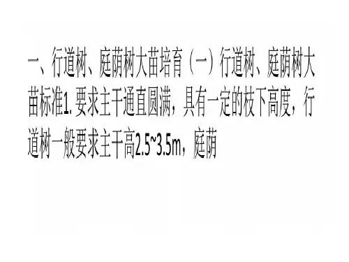 各类大苗培育方法共27页