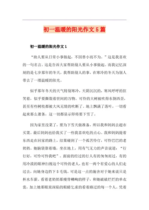 初一温暖的阳光作文5篇