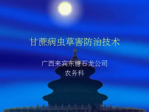 甘蔗病虫草害防治技术ppt课件
