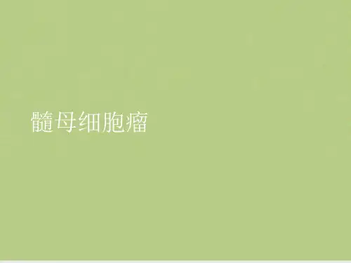 髓母细胞瘤