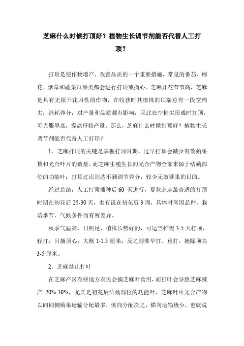 芝麻什么时候打顶好？植物生长调节剂能否代替人工打顶？.doc