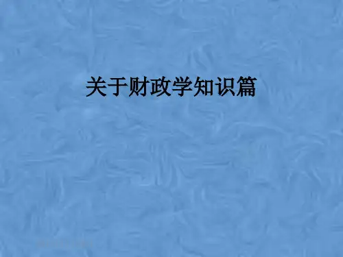关于财政学知识篇