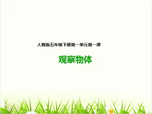 苏教版小学数学《观察物体》PPT课堂课件1
