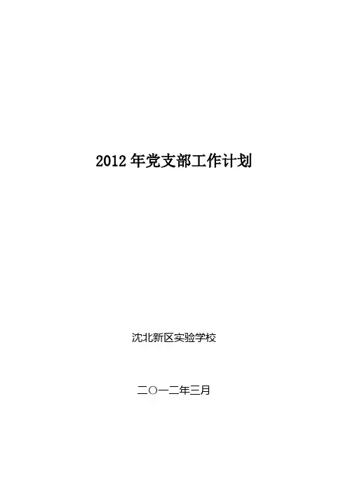 2012年中学九年一贯制学校党支部工作计划